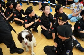 爱游戏-罗马训练开放日，集结日再遭质疑引欢呼，德甲在即，医务组通报恢复(汉赋七发)